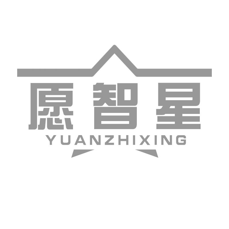 愿智星