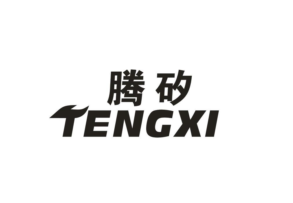 腾矽