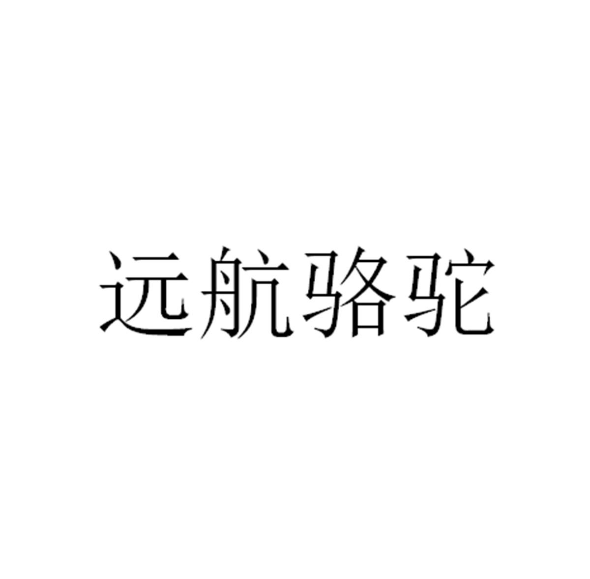 远航骆驼