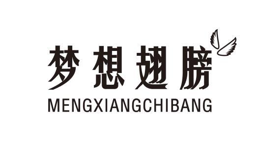 梦想翅膀
