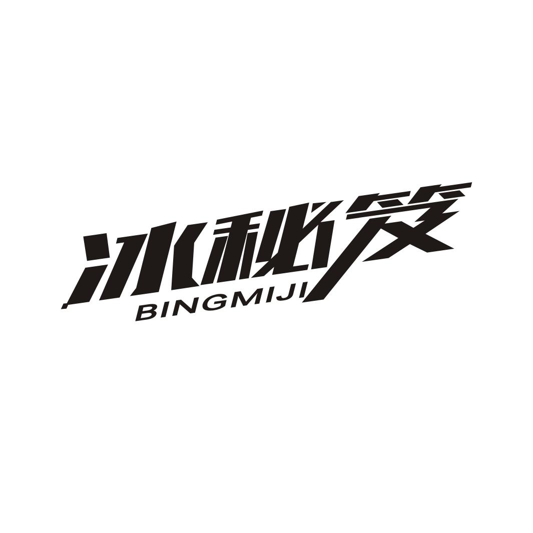 冰秘笈BINGMIJI