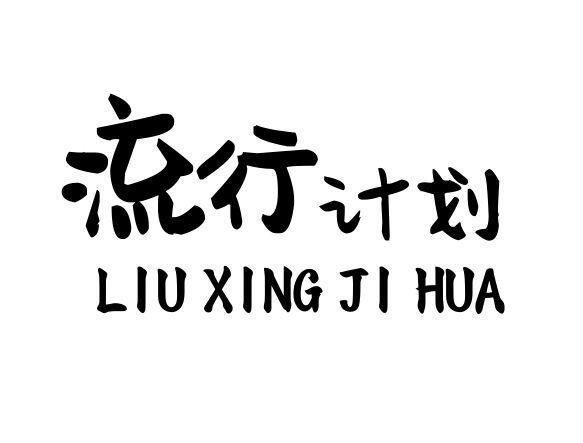  流行计划