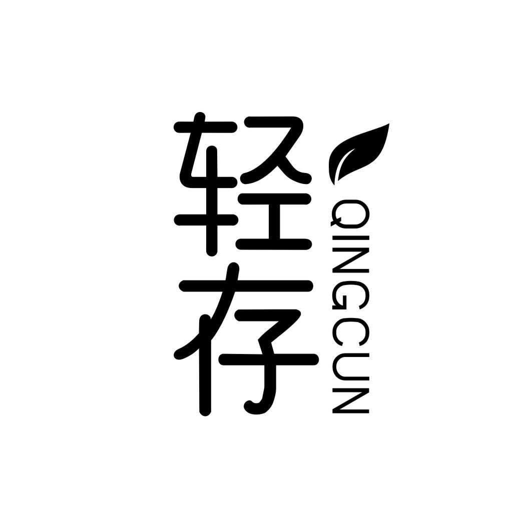 轻存