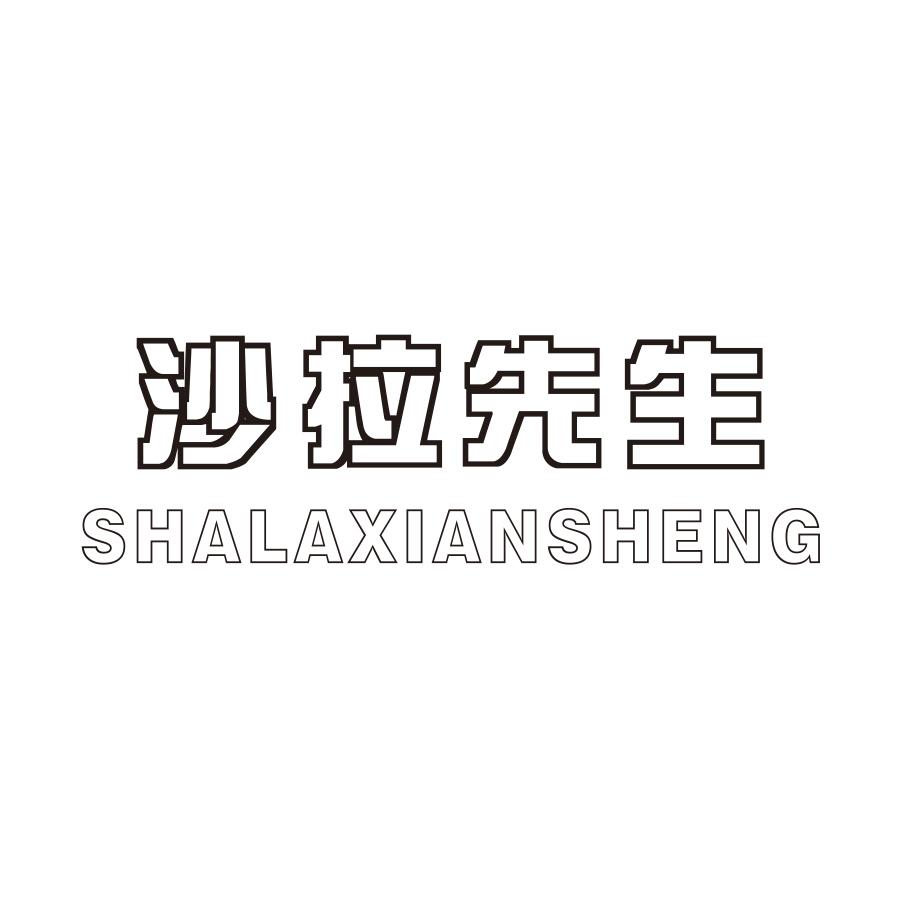 沙拉先生