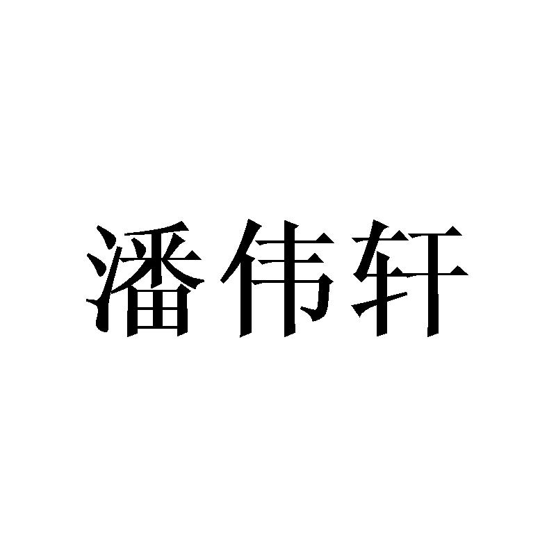 潘伟轩