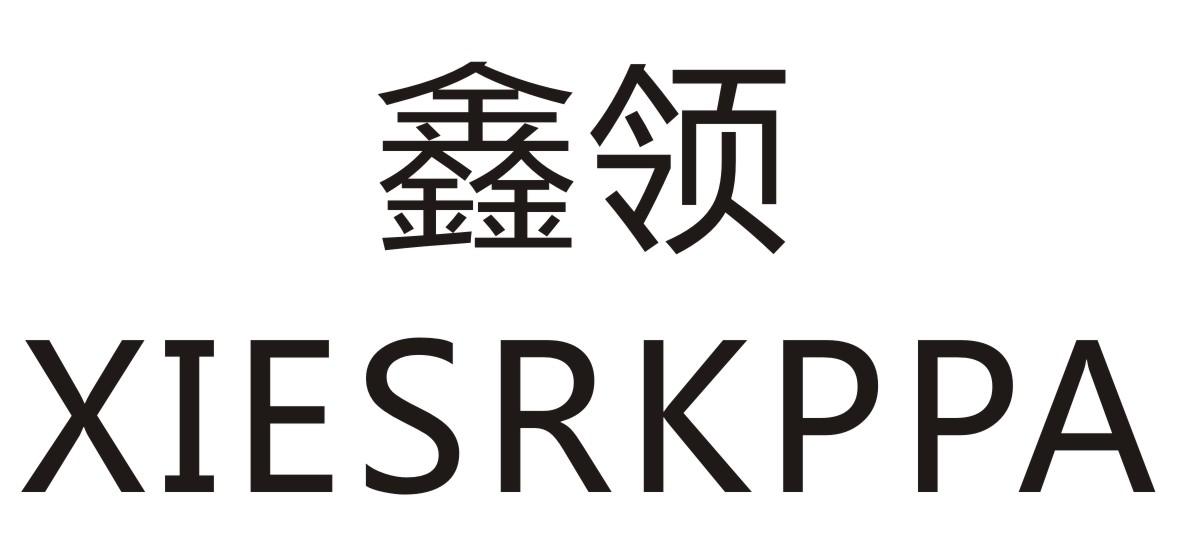 鑫领XINESRKPPA