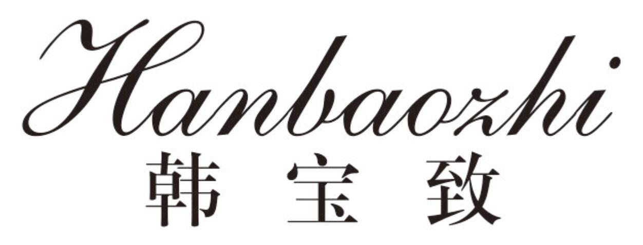韩宝致