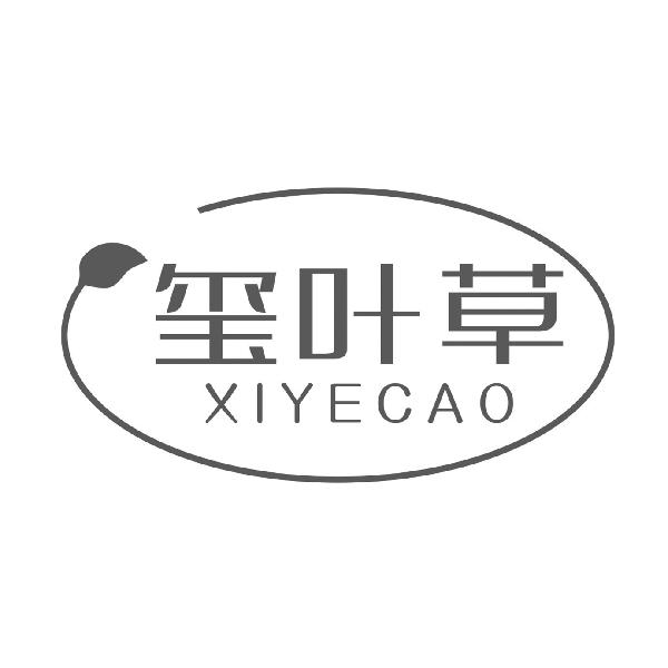 玺叶草
XIYECAO