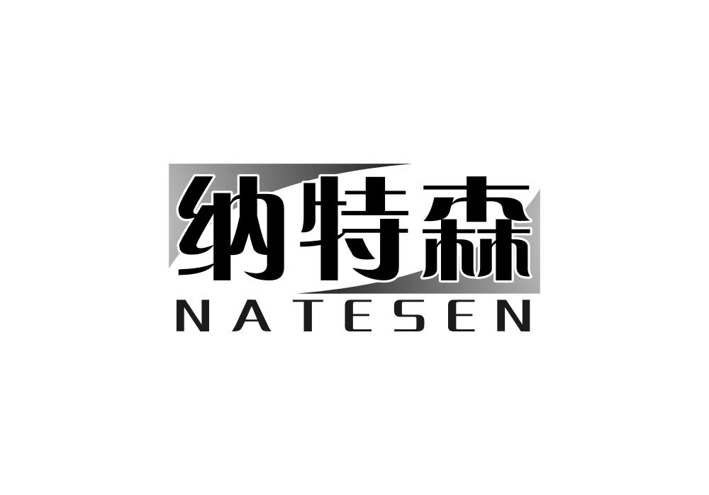 纳特森