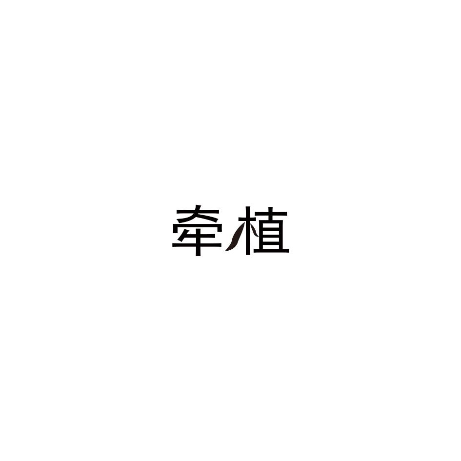牵植