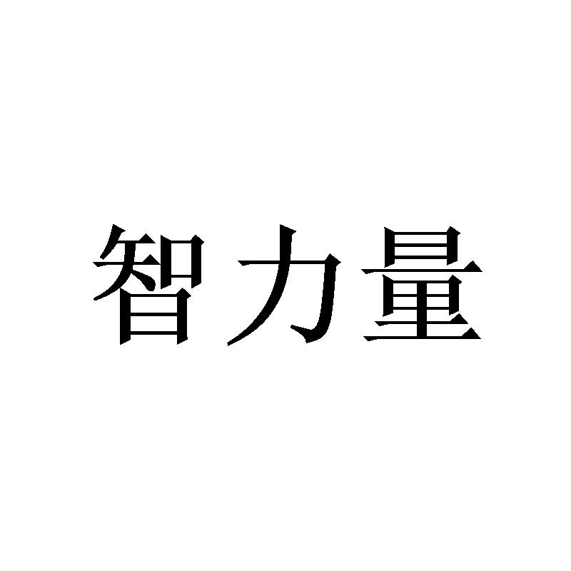 智力量
