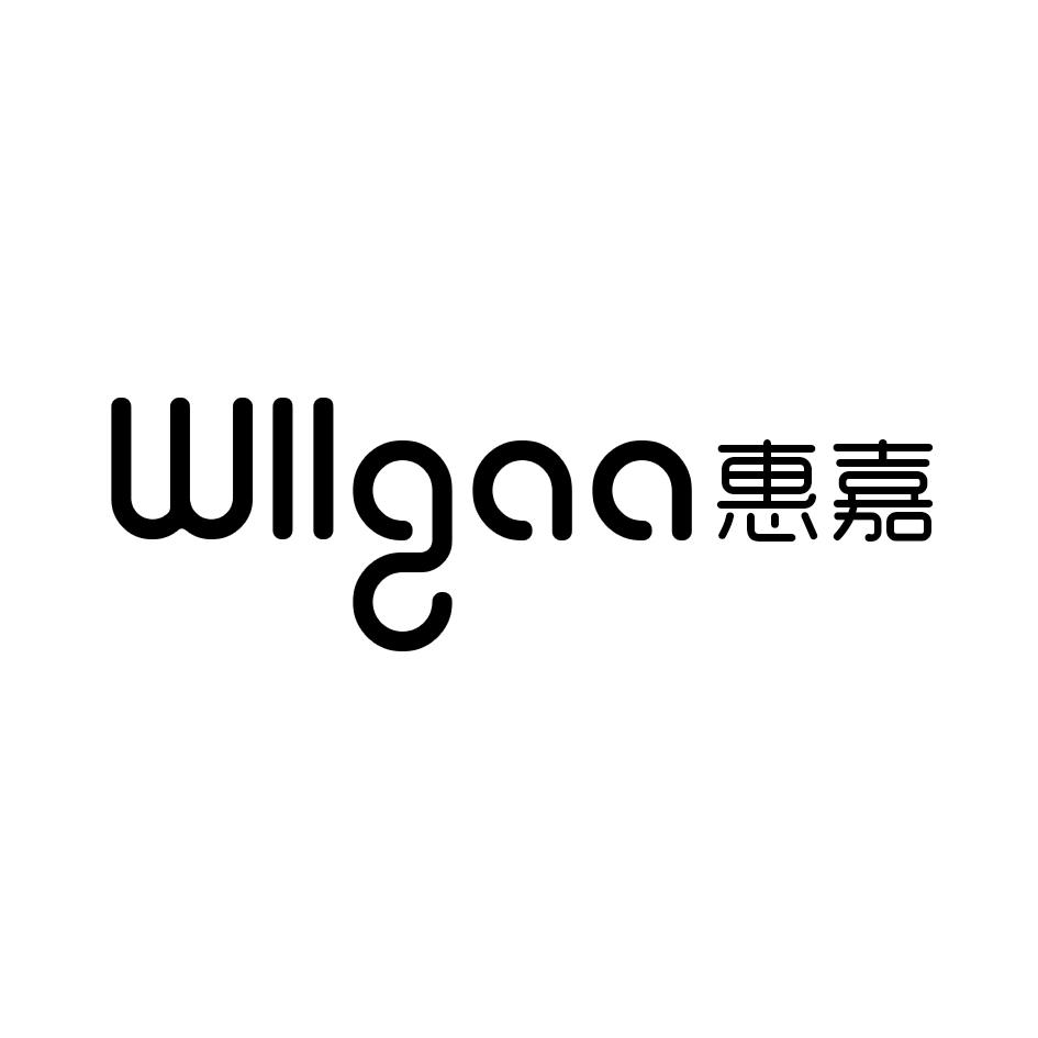 惠嘉