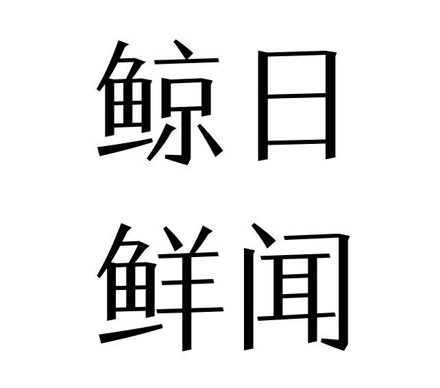 鲸日鲜闻