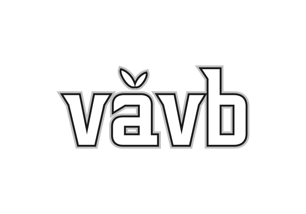 VAVB