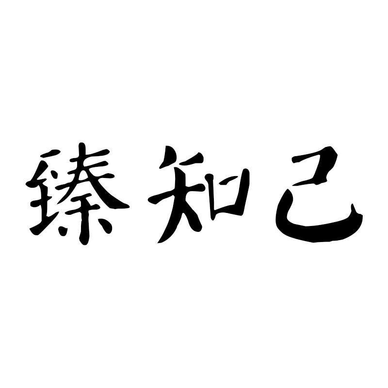 臻知己