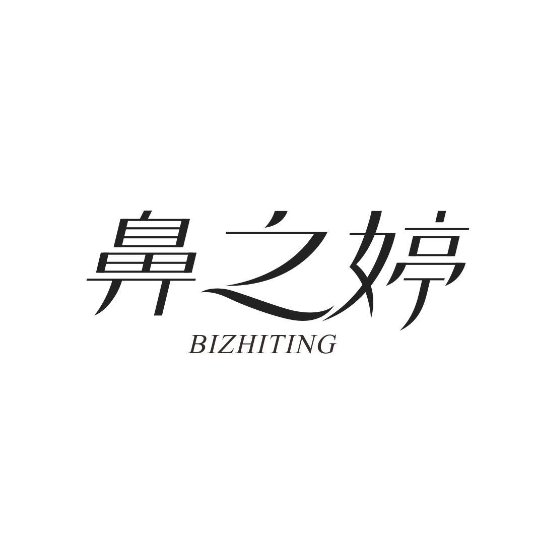 鼻之婷BIZHITING