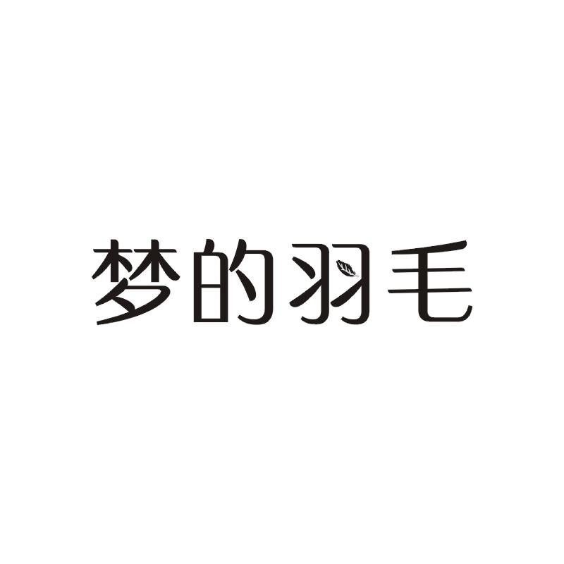 梦的羽毛