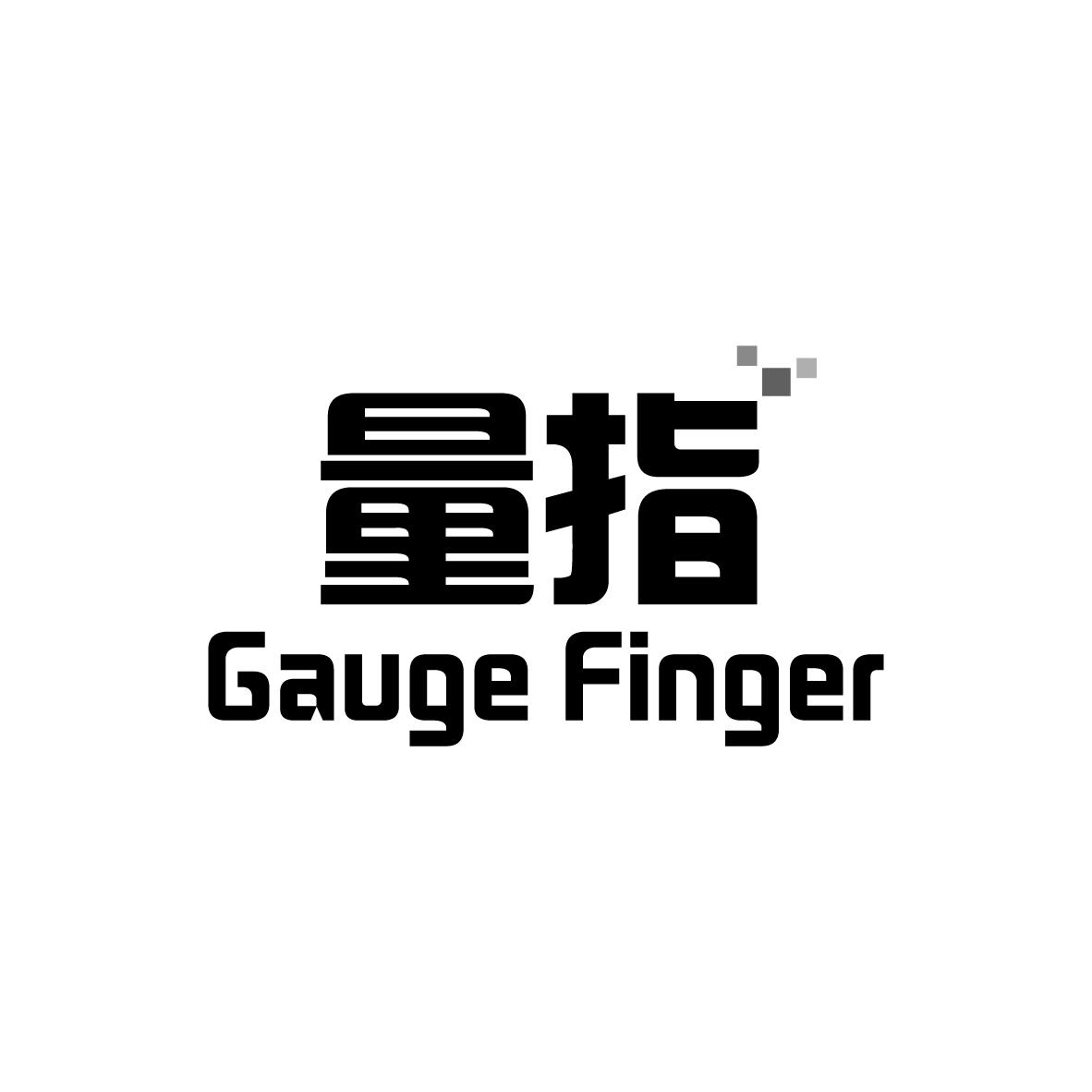 量指 
GAUGE FINGER
