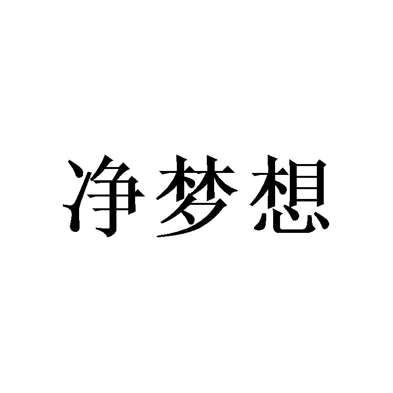 净梦想