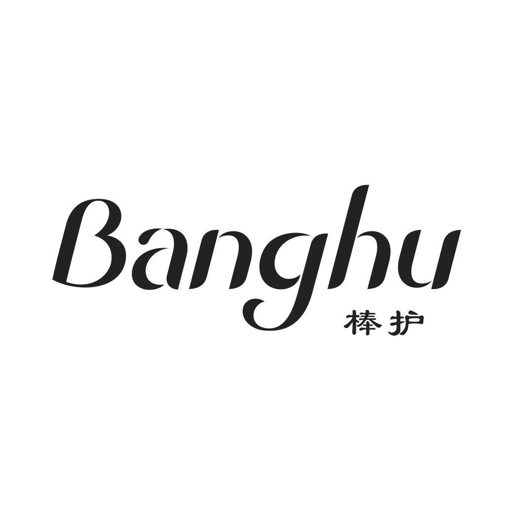 棒护BANGHU