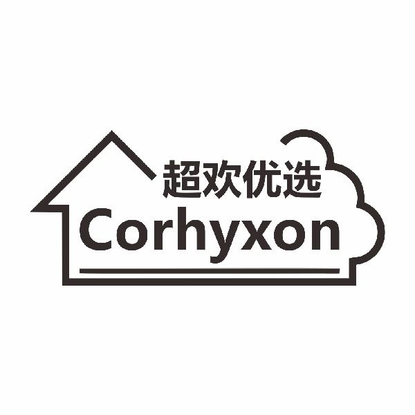 超欢优选CORHYXON
21+35类同名