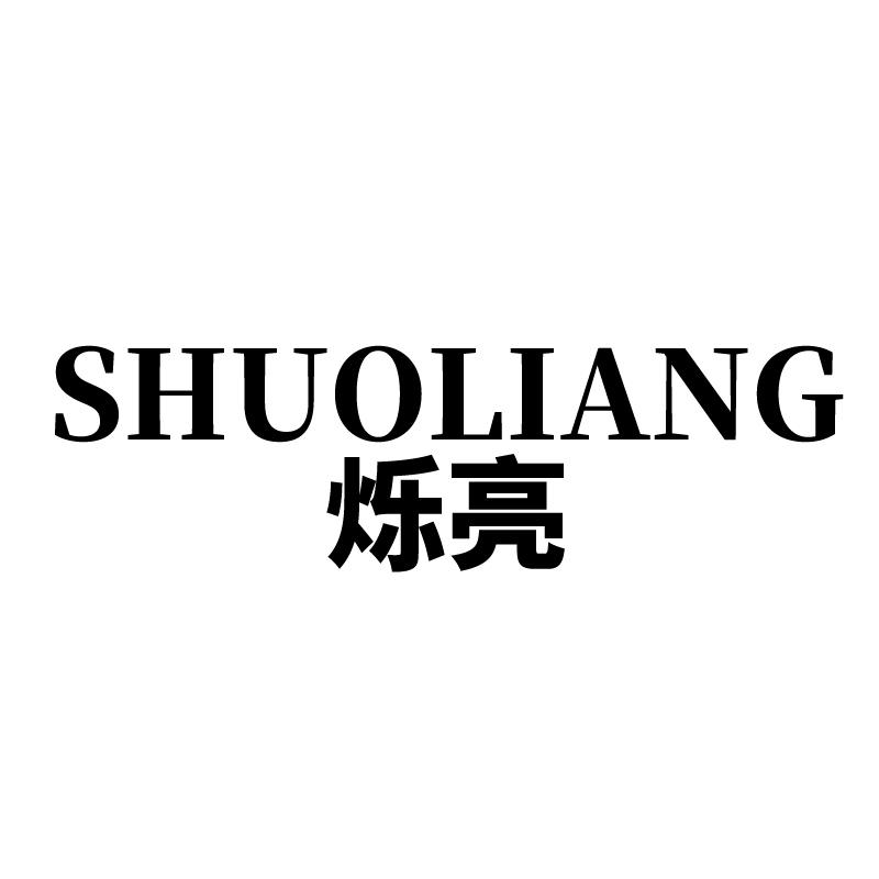 烁亮 