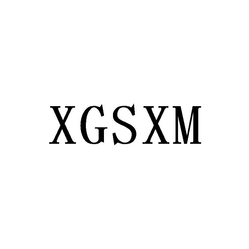 XGSXM