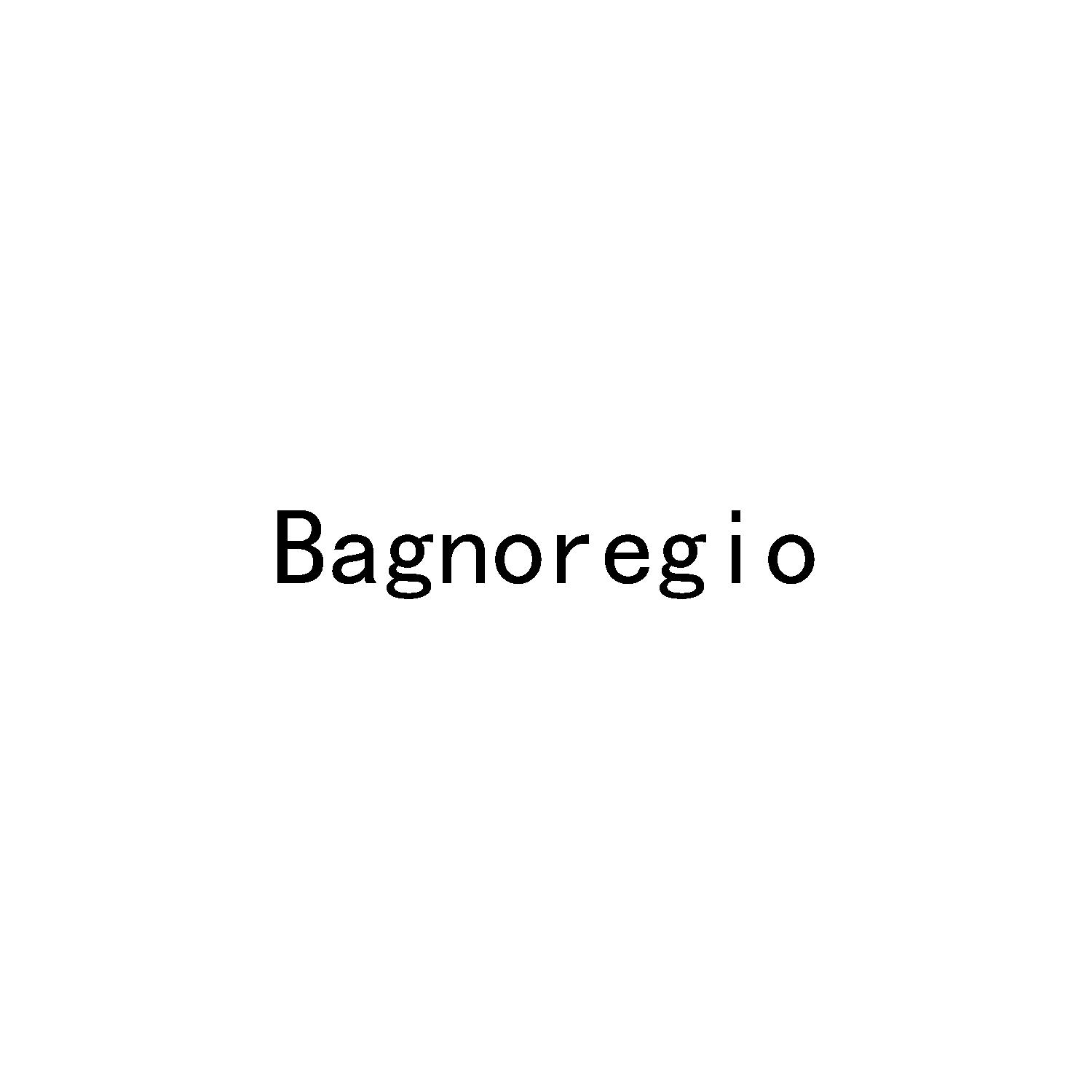BAGNOREGIO