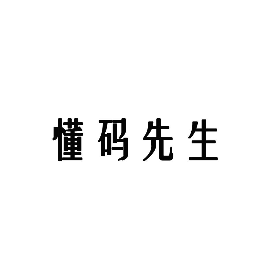 懂码先生