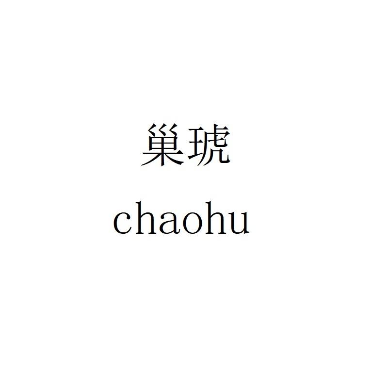 巢琥 chaohu