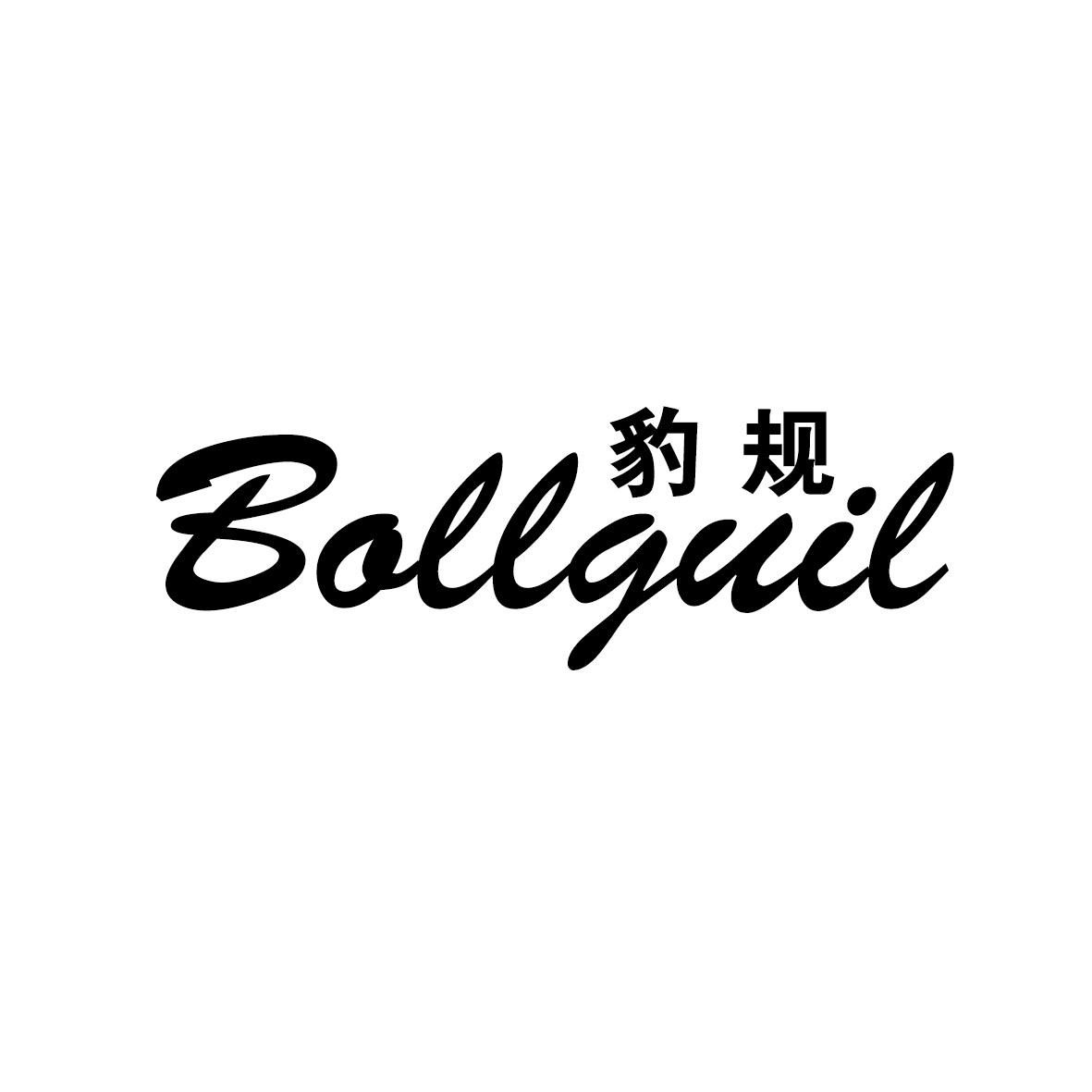 豹规