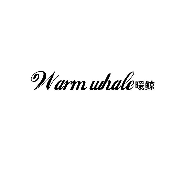 暖鲸
warm whale