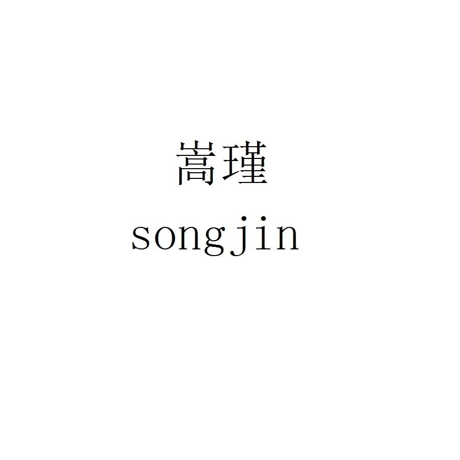 嵩瑾songjin