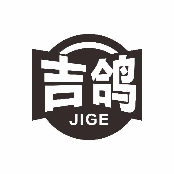 吉鸽