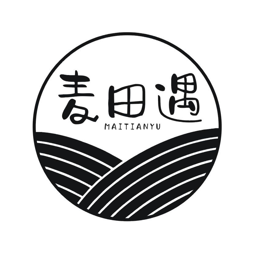 麦田遇