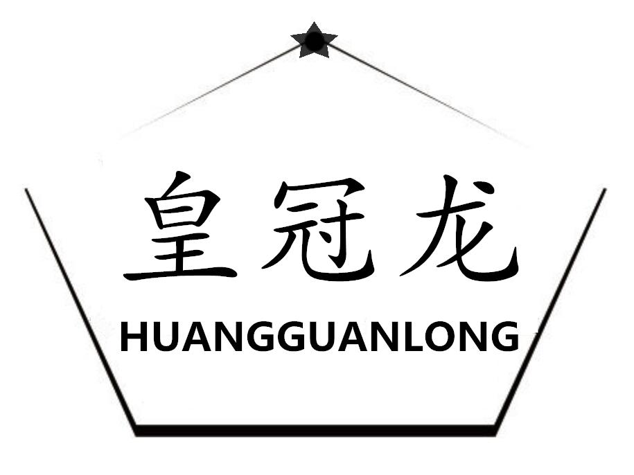 皇冠龙