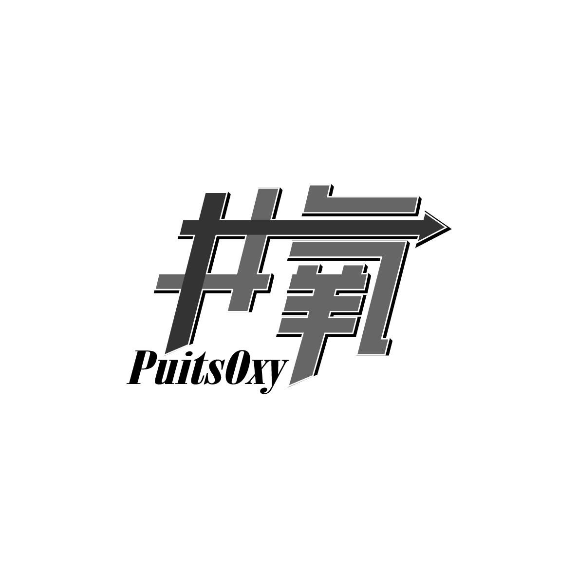 井氧PuitsOxy