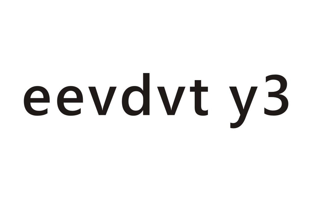 eevdvt y3