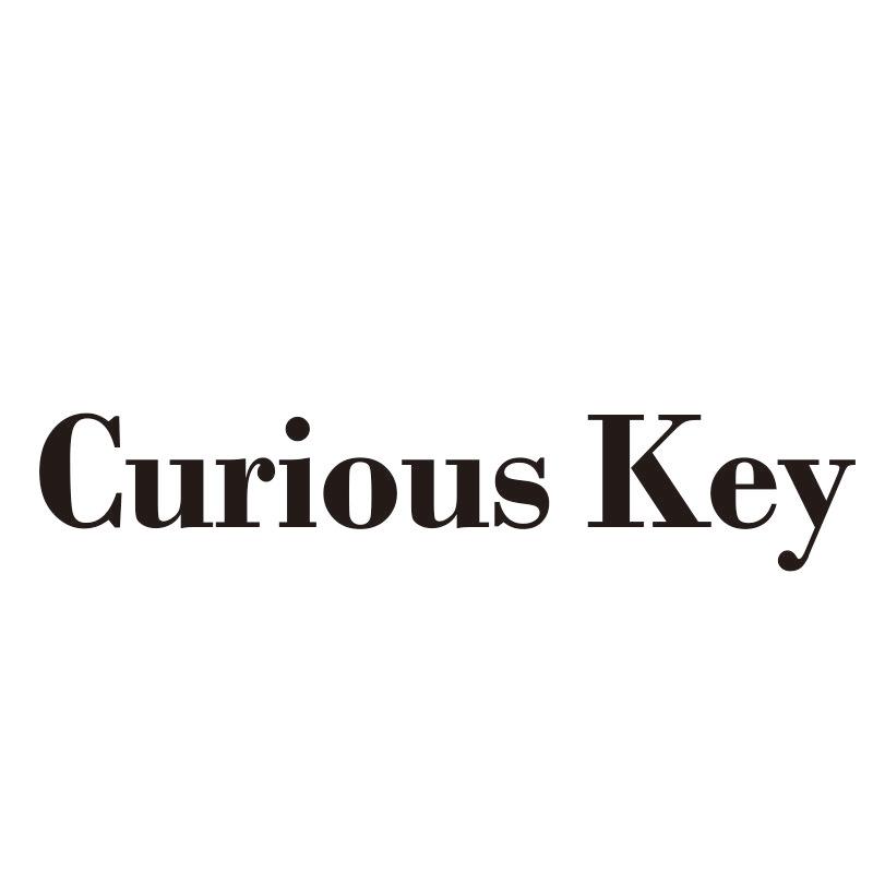 Curious Key
（释义：好奇关键）
