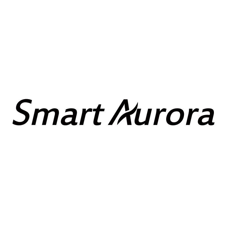 Smart Aurora
（释义：智能极光）