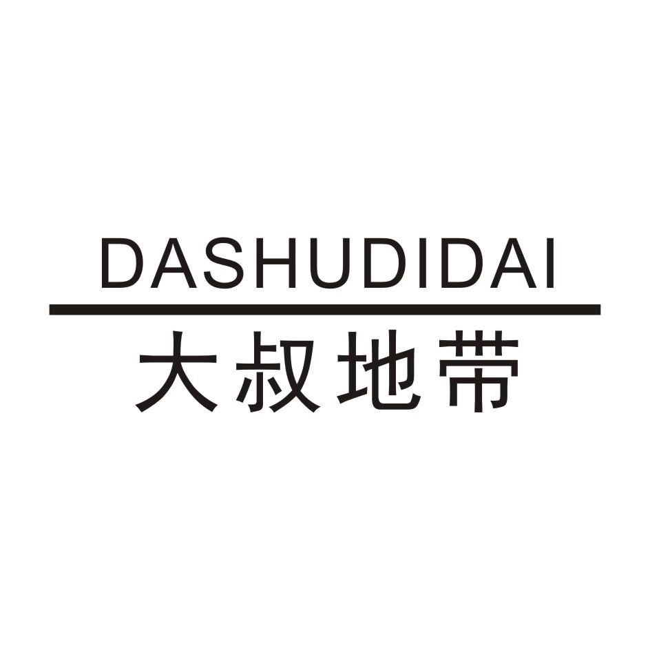 DASHUDIDAI大叔地带