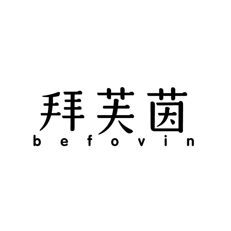 拜芙茵
befovin