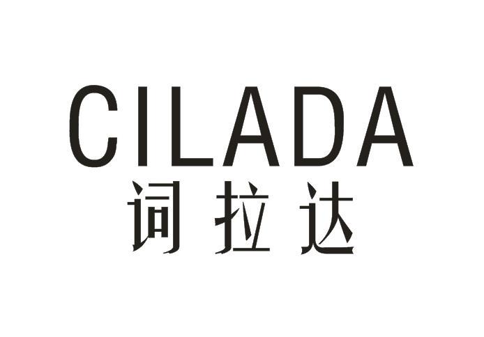 词拉达
（擦边：普拉达）