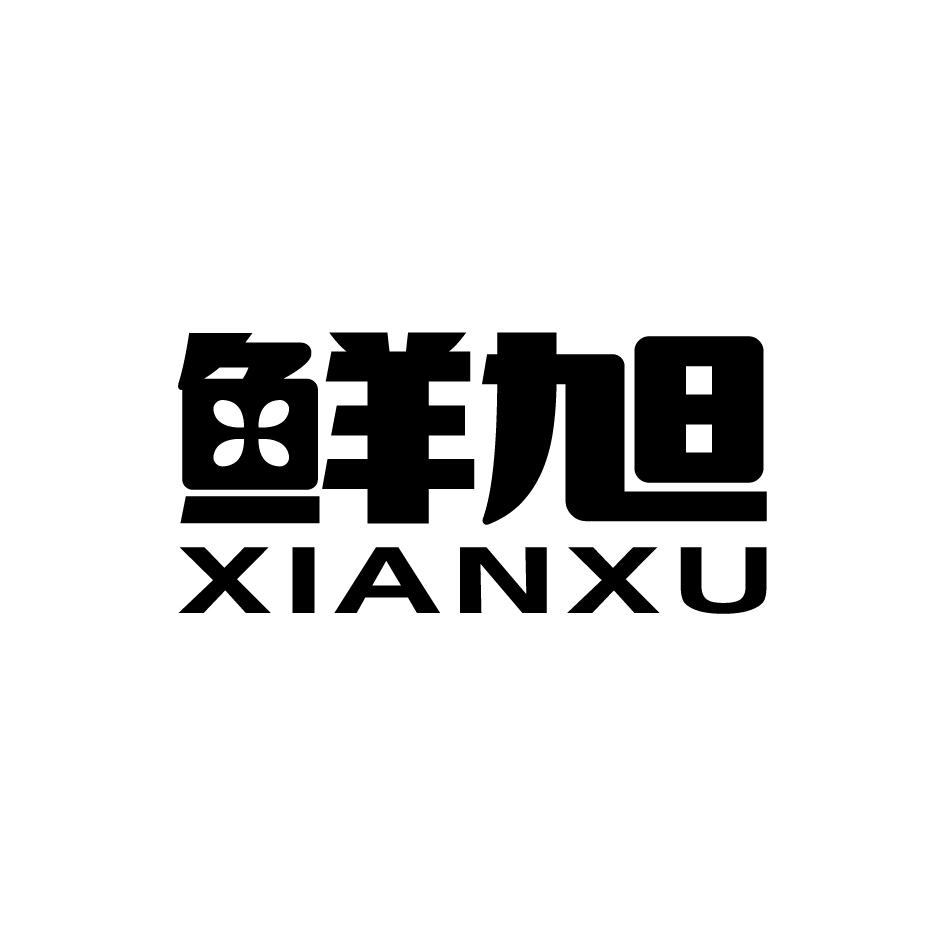 鲜旭    XIANXU