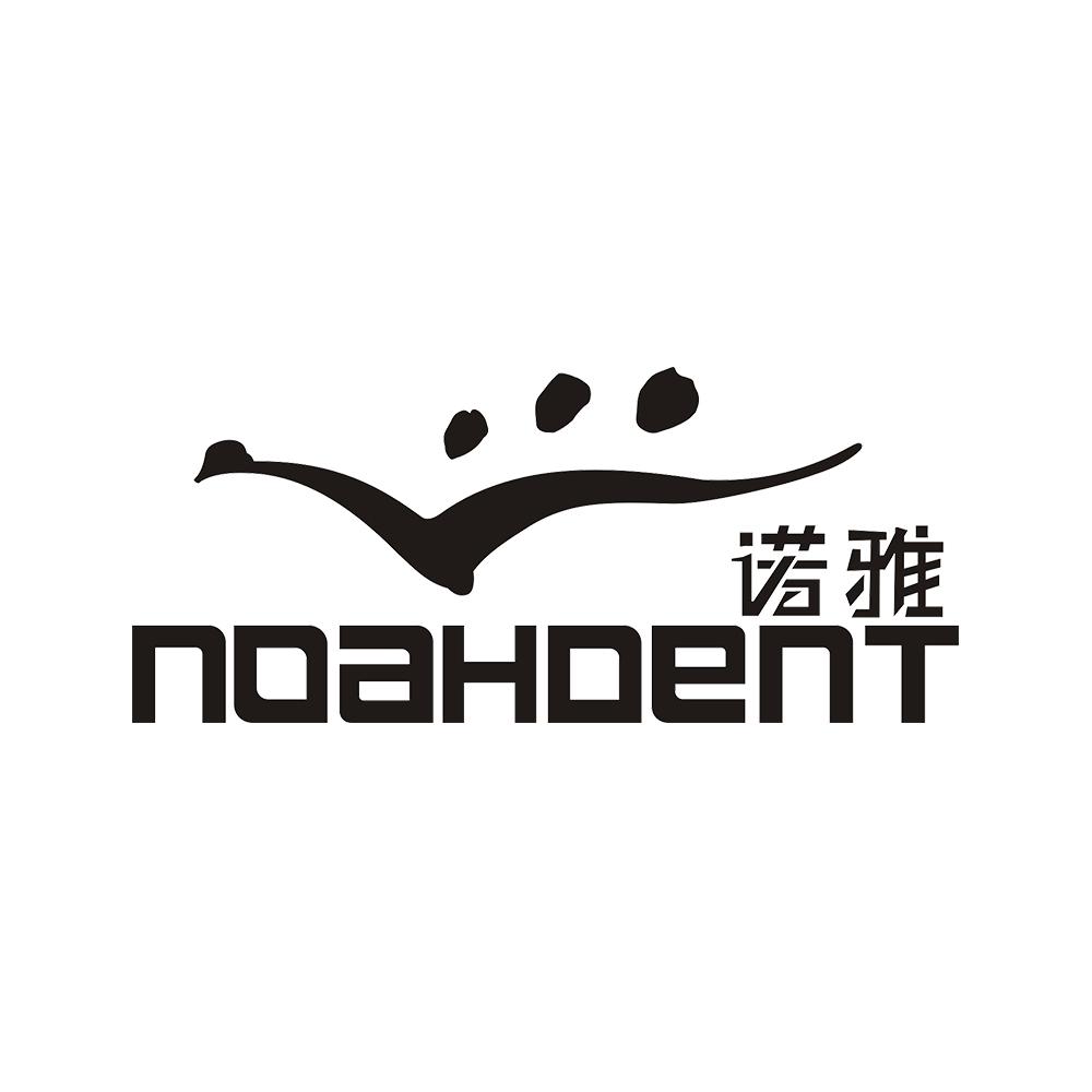 诺雅  