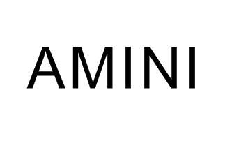 AMINI
