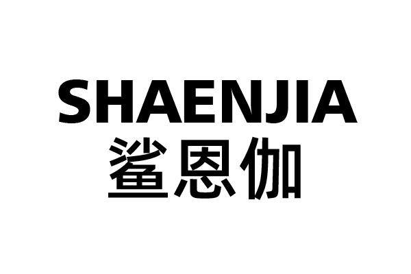 鲨恩伽