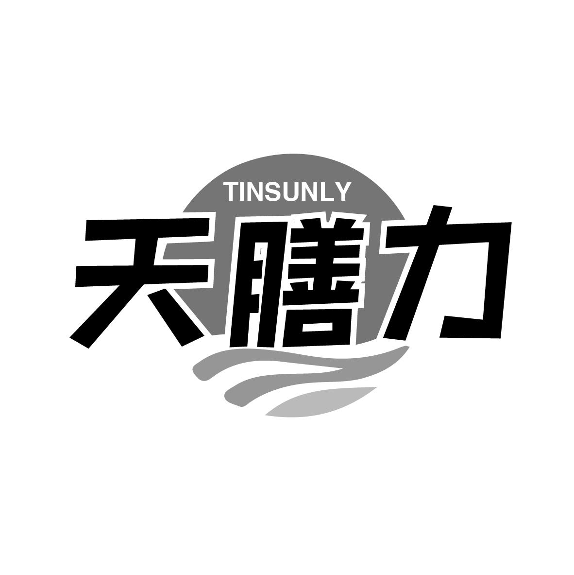 天膳力
TINSUNLY