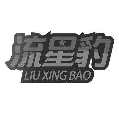 流星豹