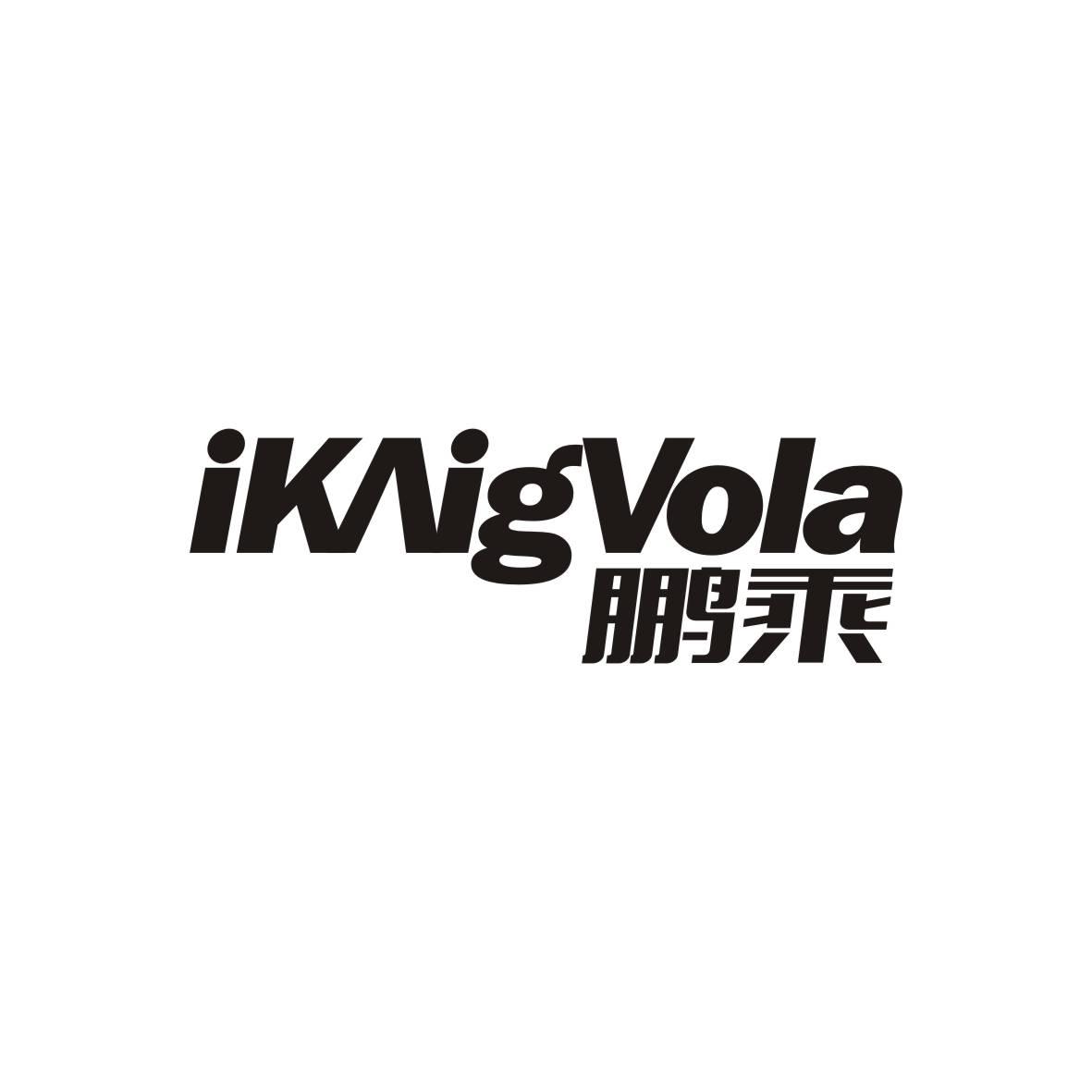 鹏乘IKAigVola